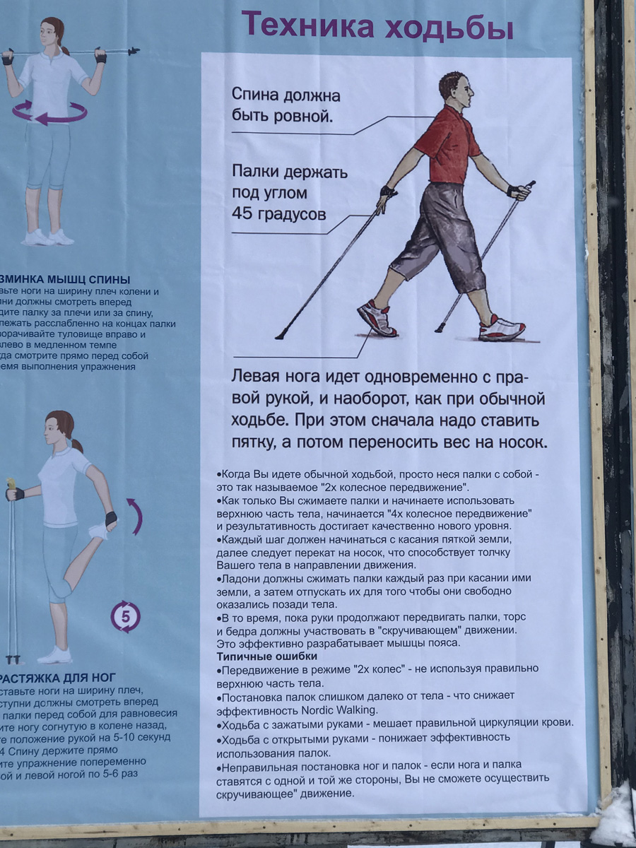 Техника скандинавской ходьбы